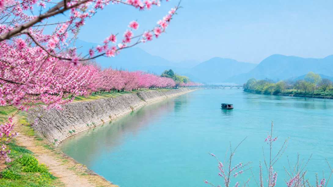 桃花与江水 江堤桃林 春水碧色 春日江景 4K壁纸 - 唯爱图库