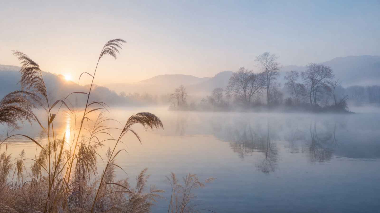 薄雾清晨湖畔 水面氤氲 芦苇轻晃 朦胧诗意 4K壁纸 - 唯爱图库