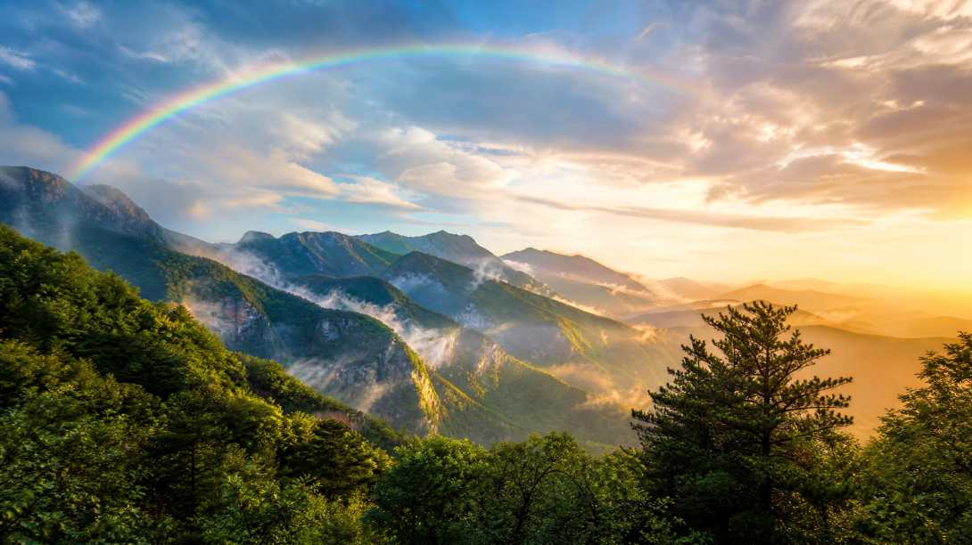 雨后山峦与山间彩虹 湿润林木 霞光漫山 清新自然 4K壁纸 - 唯爱图库