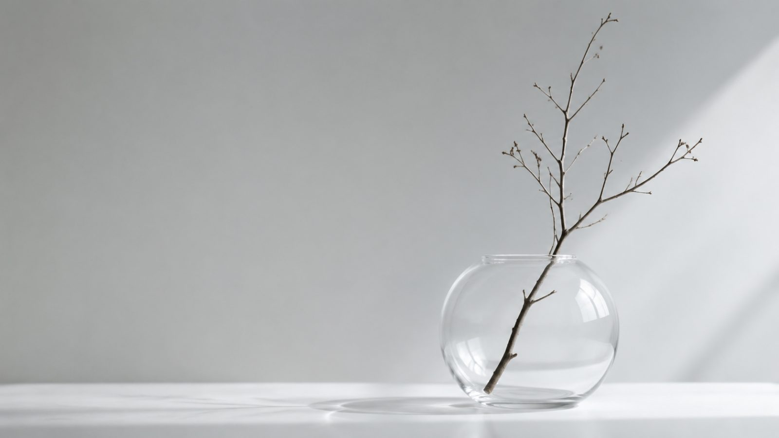 极简壁纸，浅灰色背景，一个圆形透明玻璃花瓶，插一根枯枝，光影柔和，留白大量，超高清 - 唯爱图库